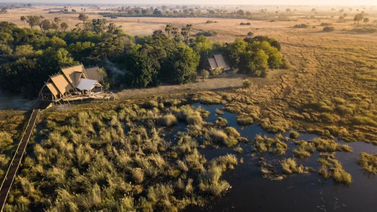 Best Safari Stays United States: The Definitive 2026 Editorial Guide