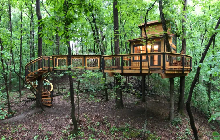 Top Treehouse Glamping in America: The Definitive 2026 Editorial Guide